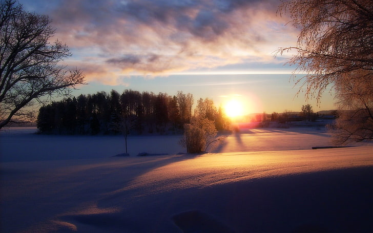 강, 겨울, 눈의 갈색 나무 액자 그림, HD 배경 화면