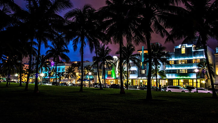 silhouette de palmiers, palmiers, South Beach, Miami, Floride, Fond d'écran HD