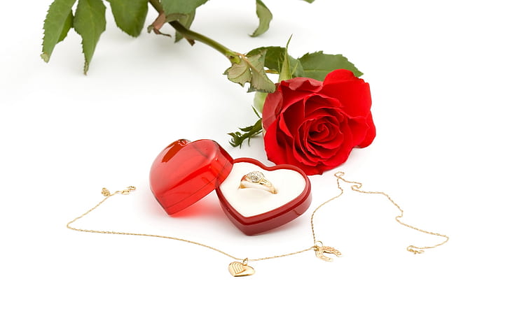Rose and Ring, love, red, pics, HD wallpaper