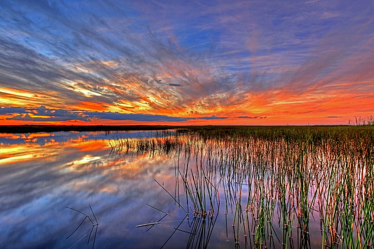 Usa, Everglades, Swamp, Florida, Wallpaper HD