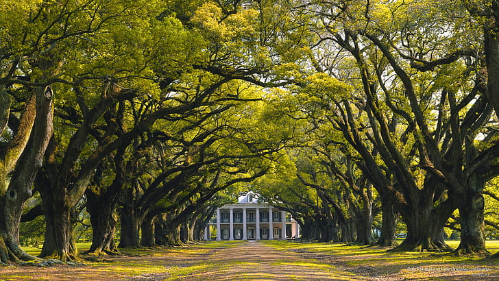 Oak Plantation, Nowy Orlean, Luizjana, Architektura, Tapety HD