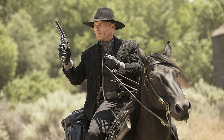 men's black formal coat and hat, weapons, horse, frame, hat, gloves, the series, cowboy, revolver, Western, TV Series, Ed Harris, Westworld, The World Of The Wild West, The Man in Black, HD wallpaper