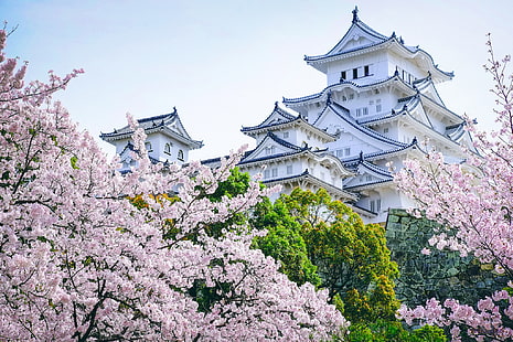 árboles, castillo, Japón, Sakura, pagoda, Fondo de pantalla HD HD wallpaper