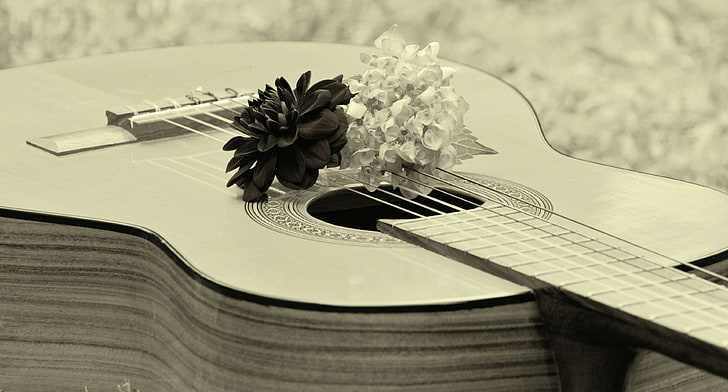 acoustics, black white, floral greeting, guitar, instrument, music, musical instrument, stringed instrument, wooden guitar, HD wallpaper