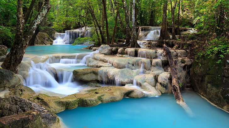 waterfalls, forest, trees, stream, stones, waterfall, cascade, thresholds, HD wallpaper