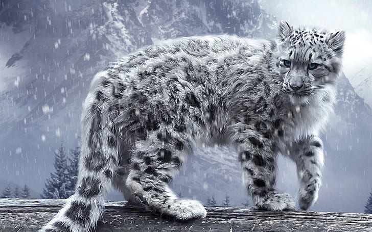 Snow Leopard Art, леопард, снег, художественный, HD обои