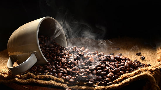 cangkir kopi, kopi, cangkir, kafein, minum, dipanggang, biji kopi, segar, Wallpaper HD HD wallpaper