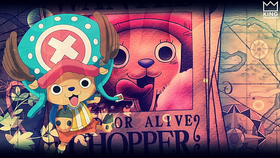 anime, lekarz, One Piece, piraci, słomkowy kapelusz, tony Chopper, Tapety HD HD wallpaper