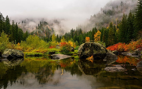 pinheiros, natureza, paisagem, outono, lago, névoa, floresta, montanhas, pinheiros, água, reflexão, vermelho, amarelo, verde, HD papel de parede HD wallpaper