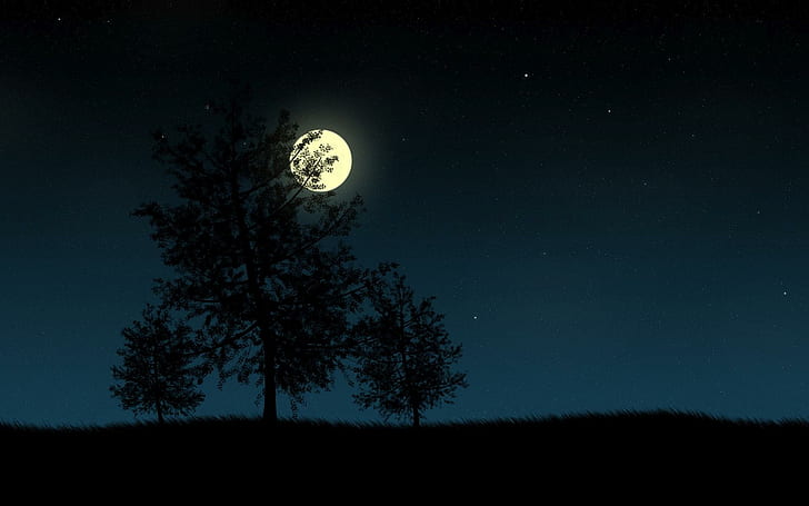 Cahaya bulan mengawasi pohon, siluet pohon di bawah bulan purnama, seni digital, 1920x1200, rumput, pohon, bintang, bulan, Wallpaper HD