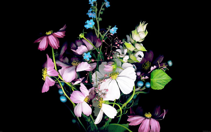 small dark flower-Apple iOS8 iPhone6 Plus HD Wallp.., assorted-color petaled flower digital wallpaper, HD wallpaper