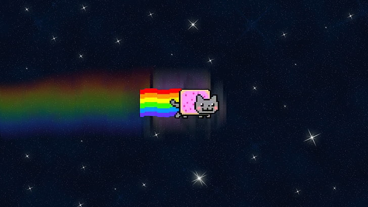 grå kattillustration, Nyan Cat, HD tapet