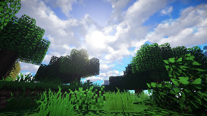 لعبة فيديو ، Minecraft ، Forest ، Grass ، Mojang ، Sky، خلفية HD