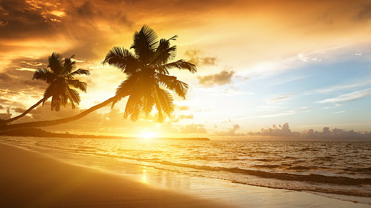 плаж, 5k, 4k тапет, океан, залез, палми, ваканция, пътуване, HD тапет