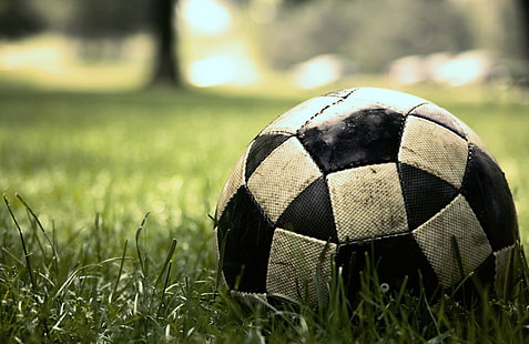 ลูกฟุตบอลขาวและดำ, หญ้า, มาโคร, สนามหญ้า, ฟุตบอล, เกม, ลูกบอล, กีฬา, เกม, การแข่งขัน, ฟุตบอล, วอลล์เปเปอร์ HD HD wallpaper