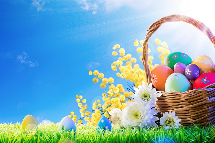 çimen, güneş, çiçekler, sepet, bahar, paskalya, yumurta, dekorasyon, mutlu, boyalı yumurta, HD masaüstü duvar kağıdı