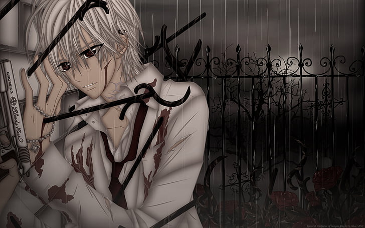 Anime, Vampire Knight, Blood, Dark, Gun, Rain, Zero Kiryu, HD wallpaper