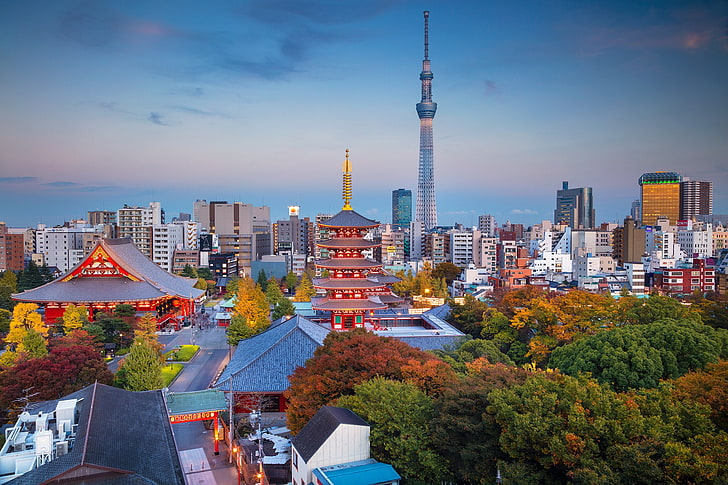 musim gugur, menara, rumah, Jepang, Tokyo, panorama, Wallpaper HD