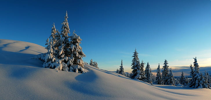 Winter, HD-Hintergrundbild