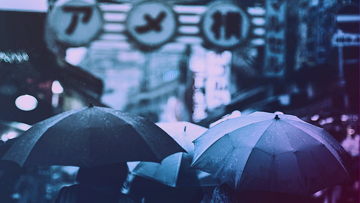 black umbrella, photography, filter, rain, Japanese umbrella, umbrella, Tokyo, HD wallpaper
