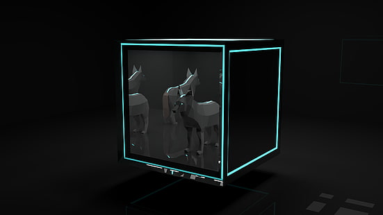 Wolf, Mixer, 3D, Low Poly, Tiere, Hund, blau, Spiegel, HD-Hintergrundbild HD wallpaper