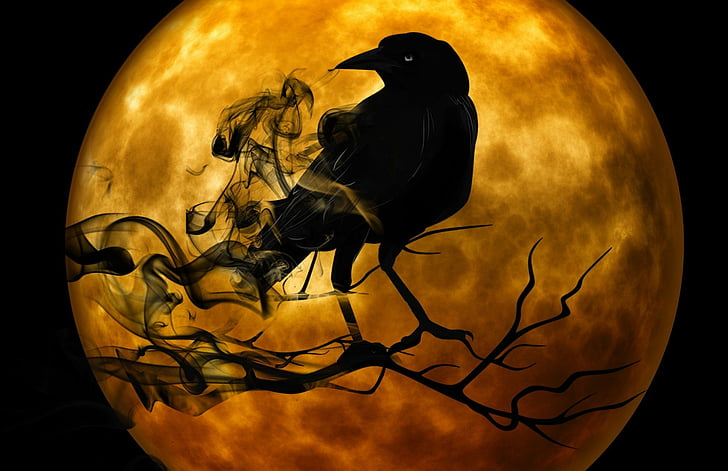 creepy, crow, gothic, halloween, moon, night, raven, HD wallpaper