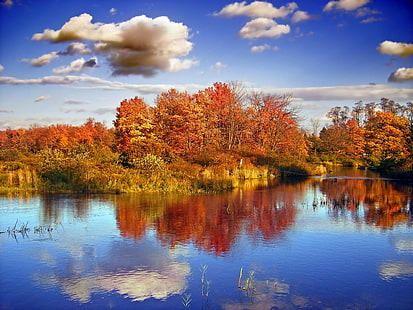 昼間は青空の下で水域近くに木を残します、反射、紅葉、木、水域、青空、日、時間、ペンシルベニア州、モンロー郡、クールボータウンシップ、トビハンナクリーク、ポコノス、湿地、池、風景、落葉性、葉、雲、積雲、秋、クリエイティブコモンズ、自然、木、葉、黄色、森林、季節、屋外、反射、湖、風景、オレンジ色、赤、自然の美しさ、多色、水、 HDデスクトップの壁紙 HD wallpaper