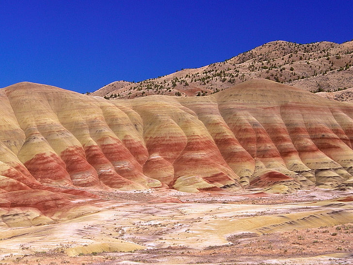 deserto marrom, paisagem, HD papel de parede