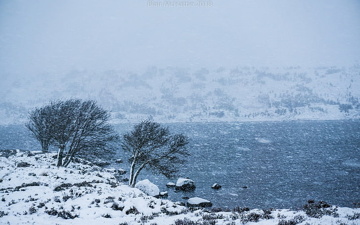 сняг, студ, зима, природа, HD тапет