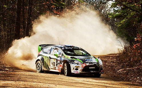سيارة سباق سوداء وخضراء ، أحجار ، WRC ، 2012 ، فورد فييستا ، دريفت ، رالي ، المواجهة ، الأوساخ ، الغبار، خلفية HD HD wallpaper