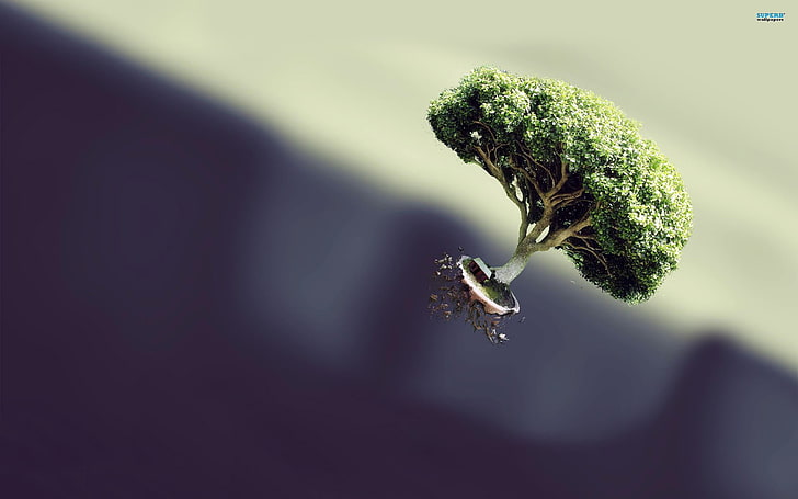 illustrazione marrone dell'albero, alberi, arte digitale, Sfondo HD