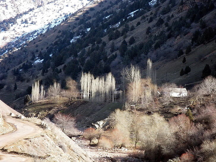 salju, gunung, rumah, sinar matahari, dasar sungai, Wallpaper HD