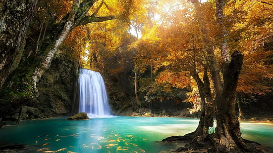 водопад, осень, национальный парк эраван, природа, вода, национальный парк, растительность, листья, Таиланд, дерево, азия, солнечный свет, поток, HD обои HD wallpaper