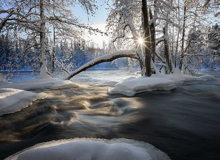 winter, snow, trees, river, Finland, Kuusaankoski River, Река Куусаанкоски, HD wallpaper