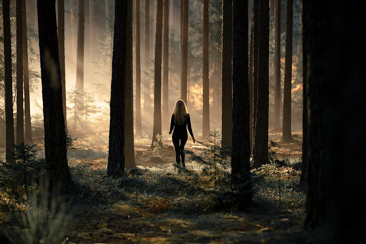 green leafed tree, woman on forest photography, forest, women, trees, mist, sunlight, plants, blonde, walking, the gap, green, brown, pine trees, black clothing, shrubs, atmosphere, nature, HD wallpaper