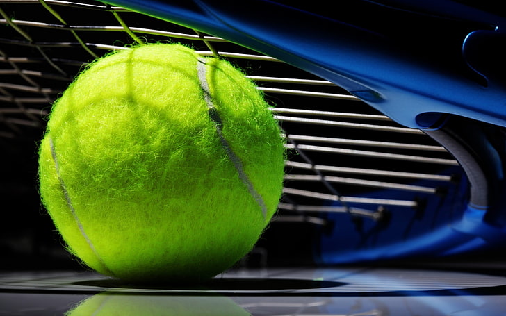 Papel de parede HD de taco de bola de tênis-Sport, bola de tênis verde, HD papel de parede