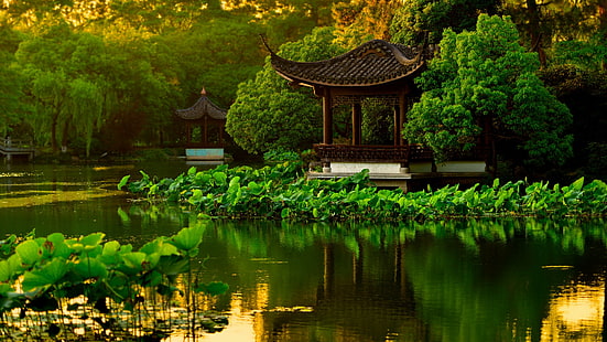 Японский сад, озеро, пейзаж, HD обои HD wallpaper