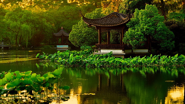 пейзаж, японска градина, езеро, HD тапет