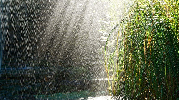 Дъждът, водата, природата, тревата, красиво, дъжд, 3d и абстрактно, HD тапет