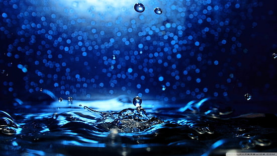 капли воды, природа, жидкость, вода, капли воды, синий, синий фон, HD обои HD wallpaper