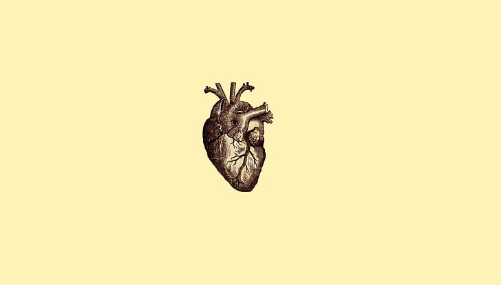 digital art minimalism simple simple background drawing anatomy hearts veins medicine, HD wallpaper