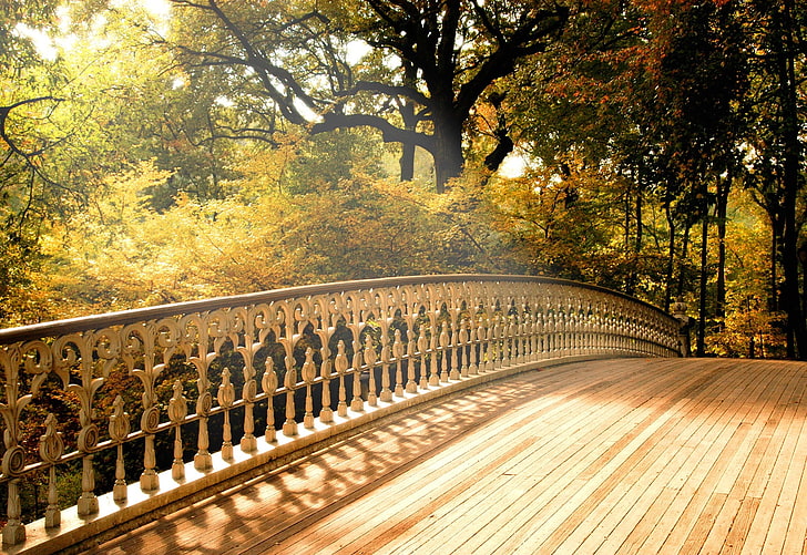 brown wooden footed bridge, bridge, wooden, handrail, trees, light, autumn, HD wallpaper