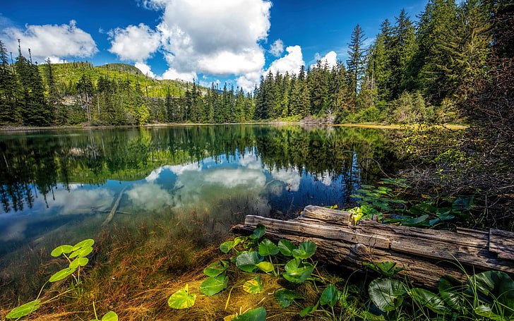 Hadikin Lake Vancouver Island Carmanah Walbran Provincial Park Canada Landscape Wallpaper For Desktop 5200×3250, HD wallpaper
