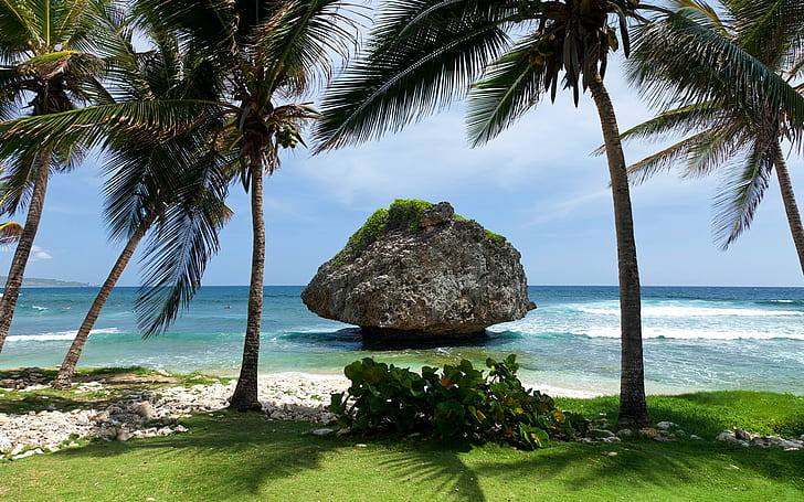 nature, sea, coast, beach, clouds, palm trees, rock, tropical, grass, waves, stones, shadow, horizon, water, HD wallpaper