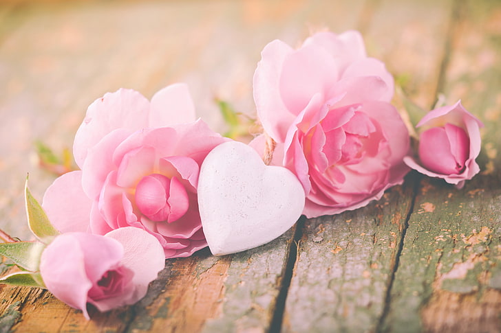 Rosen, Blütenblätter, Liebe, Herz, rosa, Blumen, romantisch, Valentinstag, HD-Hintergrundbild