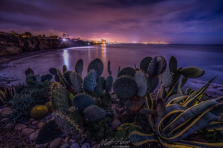 landscape, night, the city, lights, stones, the ocean, shore, lighting, cacti, USA, San Diego, Matt Aden, HD wallpaper