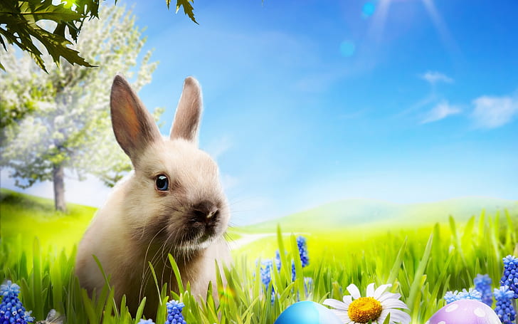 Маленький кролик, кролик, пасха 2014, пасха 2014, пасхальные яйца, HD обои