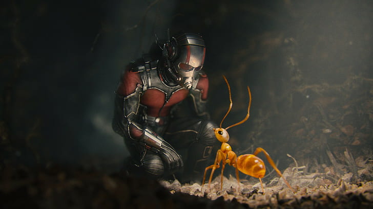 Ant-Man movie HD wallpapers free download | Wallpaperbetter