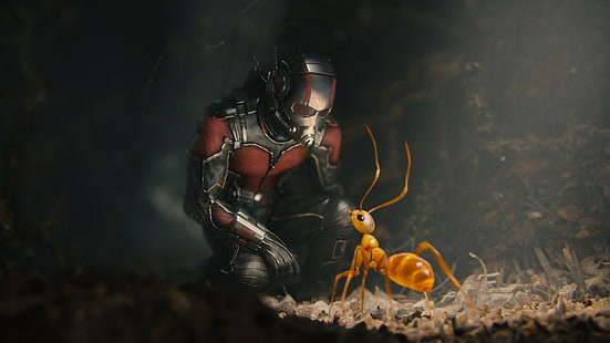 Ant-man, ประหลาดใจ, การ์ตูน, ภาพยนตร์ Ant-man, หมวกกันน็อค, สูท, Ant-man, ประหลาดใจ, การ์ตูน, ซูเปอร์ฮีโร่, มด, วอลล์เปเปอร์ HD HD wallpaper