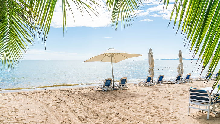beach, lounge, relax, sunbeds, sunbed, parasol, sunshade, summertime, summer, palm leaves, sandy beach, tropical beach, HD wallpaper